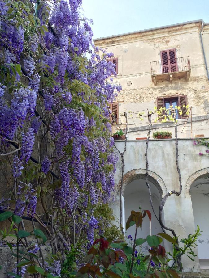Palazzo De Fabritiis Bed & Breakfast Rosciano  Eksteriør bilde